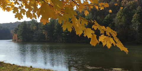 Discovering the Charm of Strouds Run State Park in Athens, Ohio