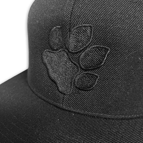 Ohio U Paw Flatbill Hat - Black on Black