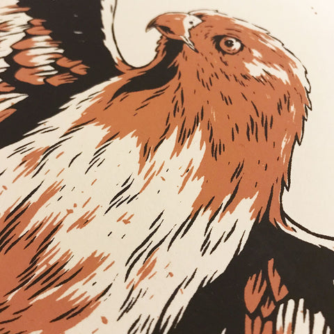 Red Tailed Hawk Printed Poster - 18x24in