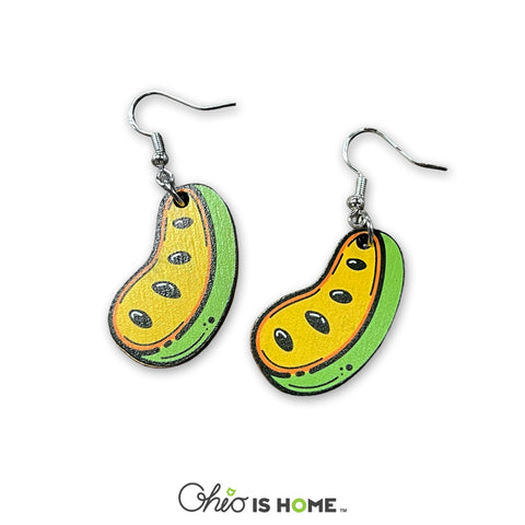 Paw Paw Fruit Wood Earrings