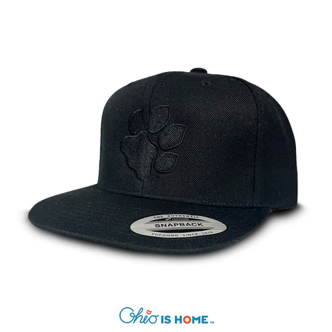 Ohio U Paw Flatbill Hat -  Black on Black